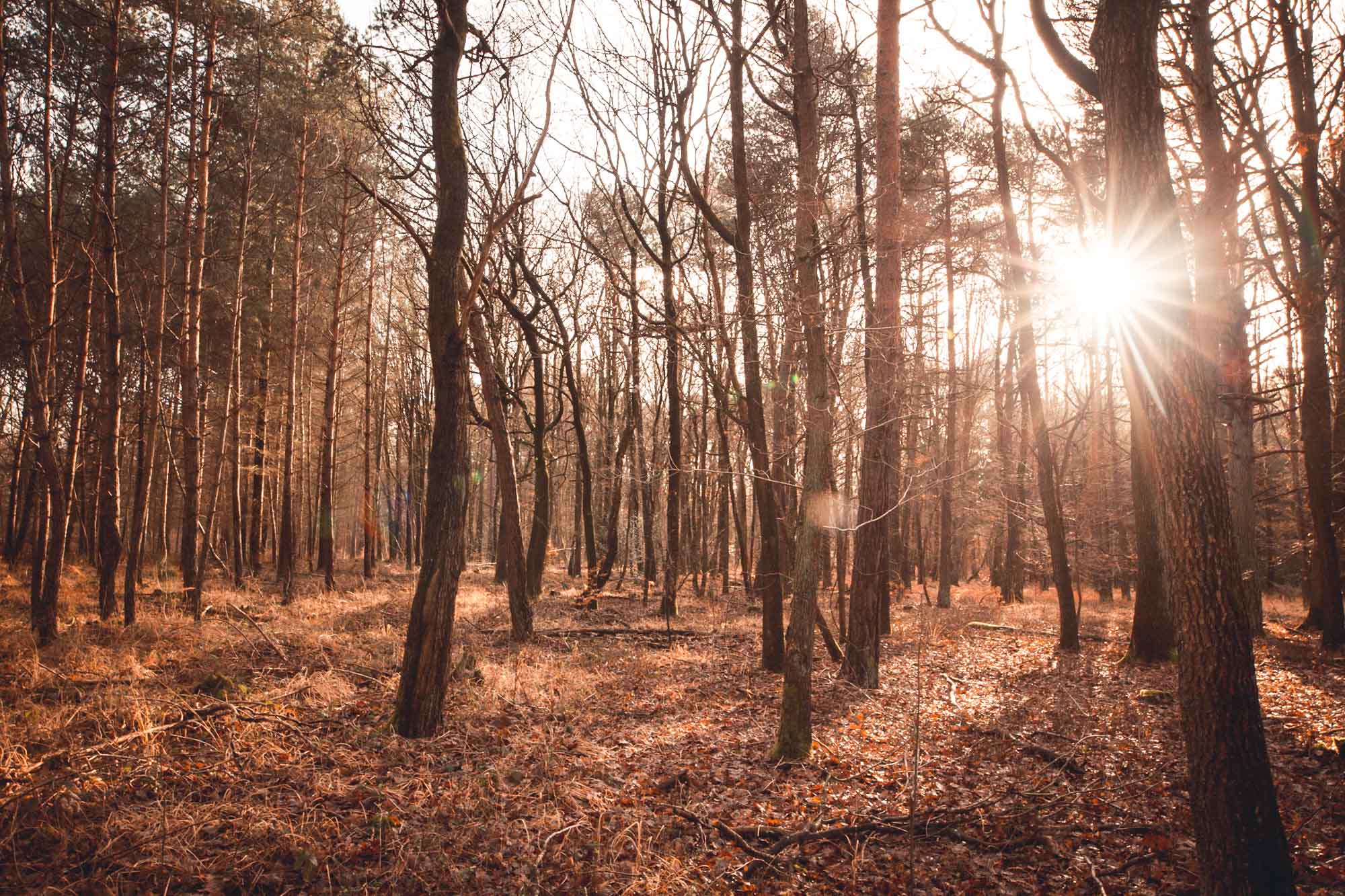 Licht und Schatten